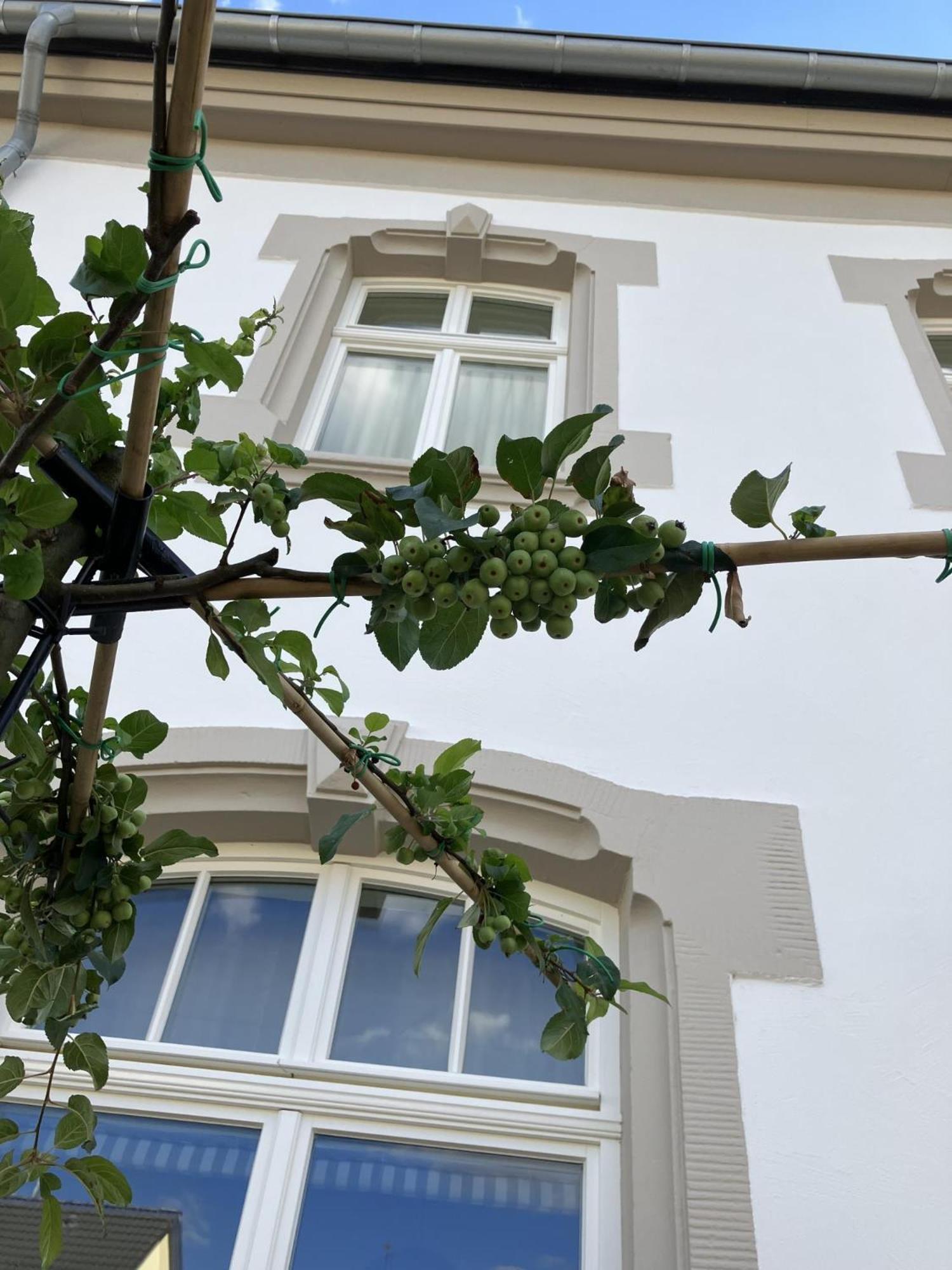 Gaestehaus Cantzheim Kanzem Exterior foto
